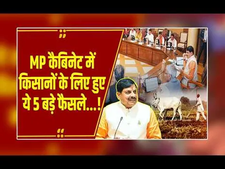 MP कैबिनेट के 5 बड़े फैसले, 10,520 करोड़ का बजट पास, जानिए उड़द और सरसों पर किसानों को क्या मिला?