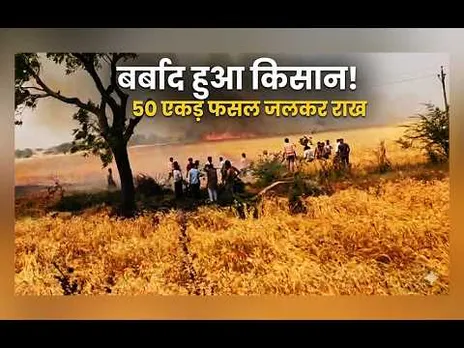 किसानों पर टूटा कहर, हरदा-खंडवा हाईवे पर 50 एकड़ गेहूं की फसल जलकर खाक, महीनों की मेहनत बर्बाद!