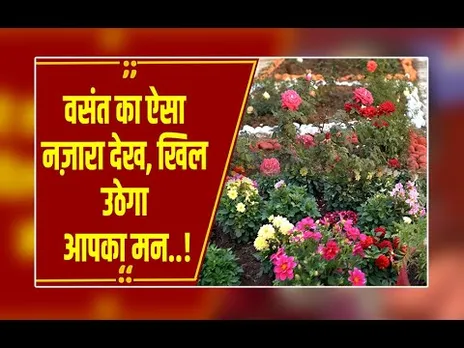 ऋतुराज वसंत का जादू: एक साथ देखिये फूलों की हज़ारों किस्में, बस देखते रह जाएंगे आप!