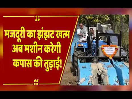 कपास के किसानों की खुली किस्मत, वैज्ञानिकों का ये आविष्कार बचाएगा लाखों रुपये!