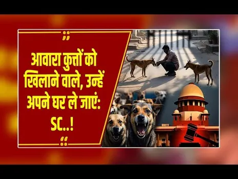 Street Dogs पर SC की दो टूक- 'सड़क पर खाना खिलाने वाले ही होंगे जिम्मेदार, पालना है तो घर ले जाएं'