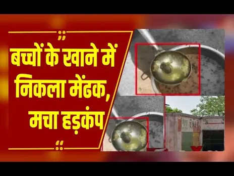 ग्वालियर: मिड-डे मील में बड़ी लापरवाही, आलू की सब्जी में मेंढक मिलने से मचा हड़कंप