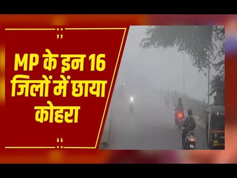 MP Weather : नए साल पर बदला मौसम, उत्तरी एमपी में छाया घना कोहरा