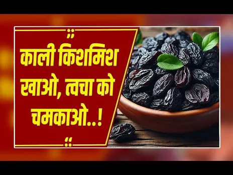 रोज भिगोकर खाएं काली किशमिश, खून से लेकर हड्डियों तक होगा फायदा