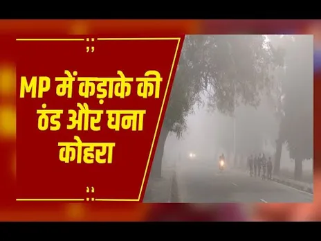 MP में कड़ाके की ठंड! कोहरे के चलते विजिबिलिटी घटी, शीतलहर के चलते कई जिलों में स्कूलों की छुट्टी