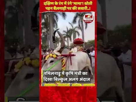 दक्षिण के रंग में रंगे 'मामा'! धोती पहन बैलगाड़ी पर की सवारी, Video वायरल