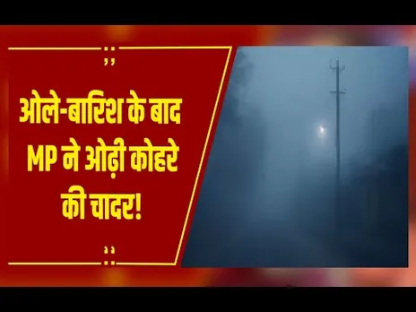 MP ने ओढ़ी कोहरे की चादर! स्ट्रॉन्ग सिस्टम से 3 दिन बदलेगा मौसम, IMD ने जारी किया अलर्ट