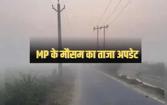 Weather of MP: एमपी के 14 शहर शीतलहर की चपेट में, 24 जिलों में कोहरा, जानिए अगले 24 घंटे कैसा रहेगा मौसम