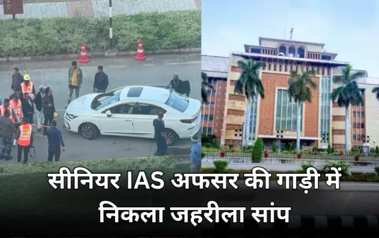 IAS अफसर की गाड़ी में निकला जहरीला सांप: मंत्रालय के गेट नंबर 9 के पास पार्क थी कार, 4 घंटे बाद SDRF की टीम ने निकाला
