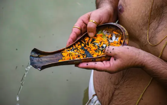 Pitru Paksha 2025 Plants: पितृपक्ष में लगाएं ये शुभ 3 पौधे, पूर्वजों का मिलेगा आशीर्वाद, होगी तरक्की
