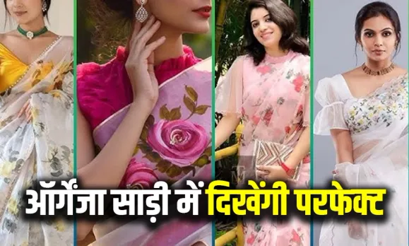 Karwachauth Organza Saree Designs