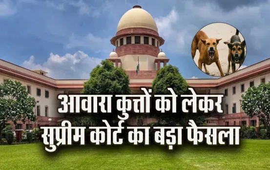 आवारा कुत्तों पर SC का फैसला: सभी राज्य आक्रामक कुत्तों को शेल्टर होम भेजें, सार्वजनिक जगहों पर खाना देने पर बैन