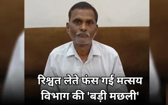 फिशरीज डिपार्टमेंट का सहायक संचालक रिश्वत लेते गिरफ्तार: हाईकोर्ट के स्टे मामले में जवाब देने के लिए मांगे थे 5 हजार