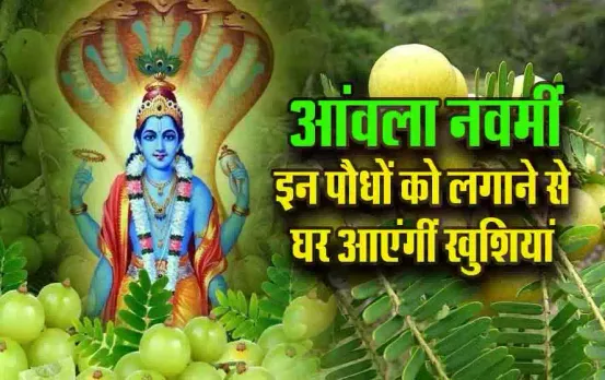 Akshay-Amla-Navmi-2024