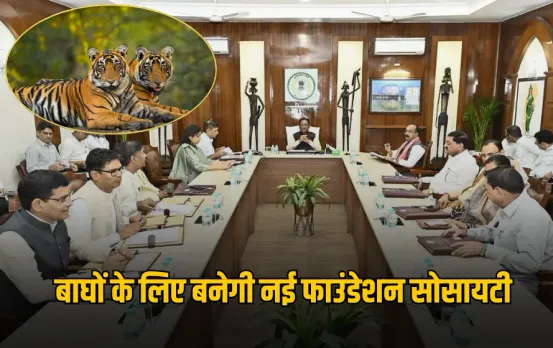 CG News : साय कैबिनेट का बड़ा फैसला, छत्तीसगढ़ में बाघों के संरक्षण के लिए बनेगी 'टाइगर फाउंडेशन सोसायटी'