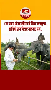 CM मोहन यादव ने काजीरंगा में जंगल सफारी का लिया आनंद, हाथियों को गन्ना खिलाकर किया दुलार...