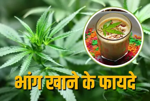 Bhang Khane Ke Fayde Health Benefits