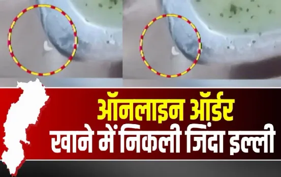 Bhilai Hotel Biryani Caterpillar