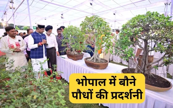 Bhopal Bonsai Exhibition