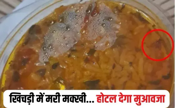 Bhopal Swiggy Controversy