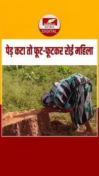 20 साल की यादें मिट गईं! अपने हाथों से लगाया पीपल का पेड़ कटा, तो फूट-फूटकर रोई महिला