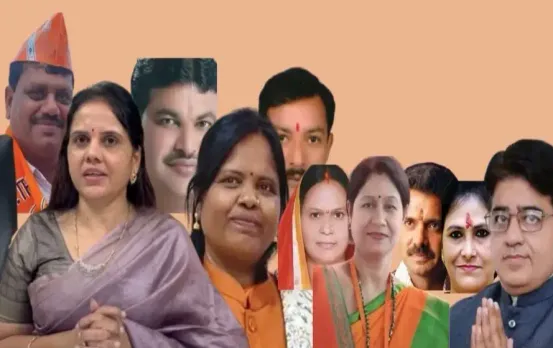 CG BJP Mayors Property