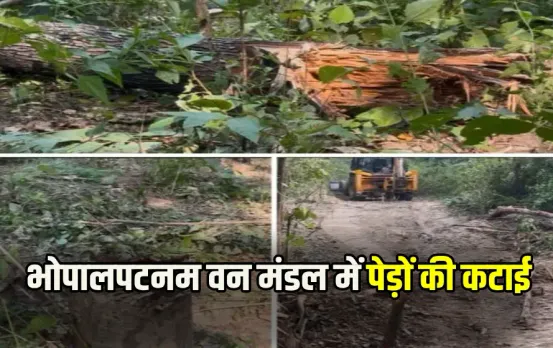 CG Bhopalpatnam Forest Officer Case