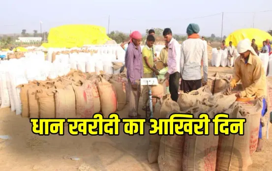 CG Dhan Kharidi 2025