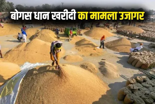 CG Dhan Kharidi Ghotala