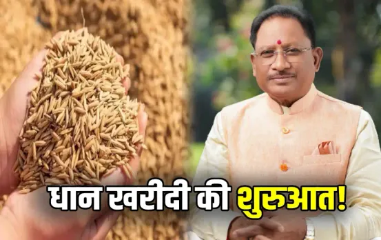 Chhattisgarh Dhan Tihar 2024 CM Vishnu Deo Sai Paddy Procurement amn
