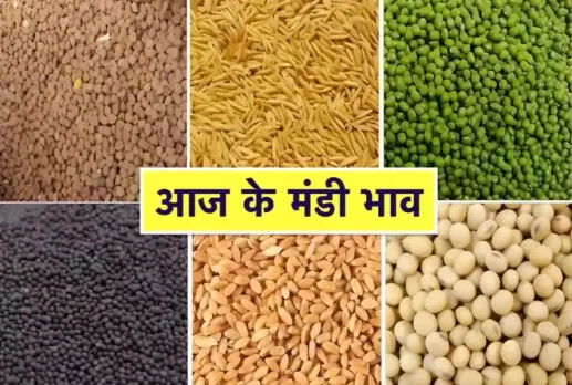 CG Mandi Bhav 23 June