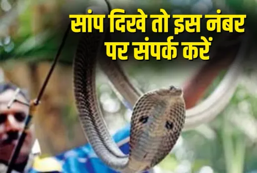 CG Mungeli Snake Rescue Campaign Helpline Number