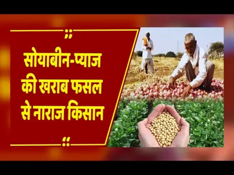 Khandwa: सोयाबीन-प्याज की खराब फसल से नाराज किसान, मांगें नहीं मानी तो आंदोलन की चेतावनी