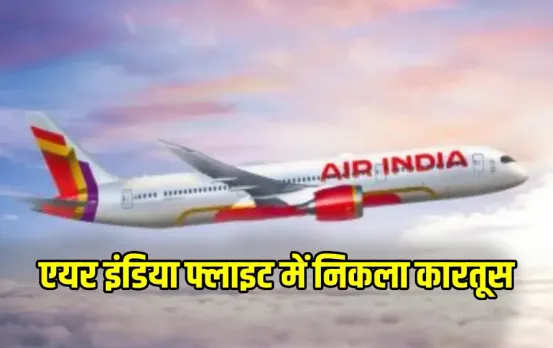 Cartridge Found in Air India Flight