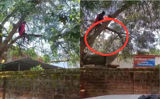 सूरजपुर में युवती का 'शोले' स्टाइल हंगामा: प्रेमी की गिरफ्तारी तक पुलिस चौकी के पेड़ पर चढ़ी रही, कई घंटों तक मचा बवाल