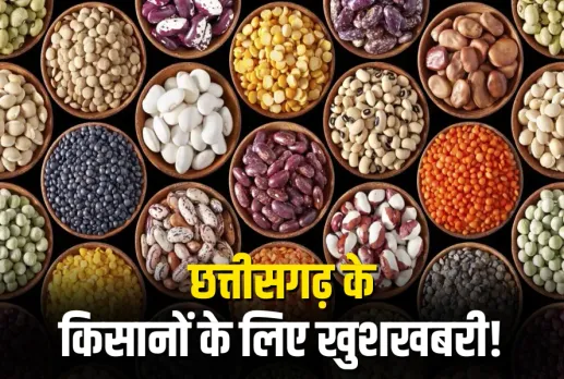 Chhattisgarh Seed Production Subsidy, CG Tilhan Beej Anudan