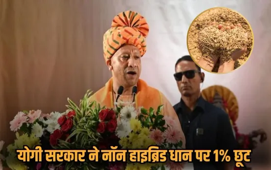 CM Yogi: CM योगी देंगे माफिया मुख्तार से खाली कराई गई जमीन पर बने 72 EWS फ्लैट्स की चाबी, गरीबों को मिलेगा नया आशियाना