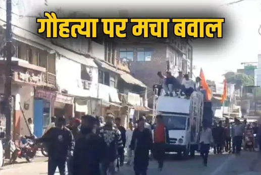 Cow Slaughter Damoh News