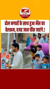 उज्जैन में दोस्तों ने मिलकर निकाली भैंस की सवारी, जुलूस के साथ गांव में मना उत्सव, जानें वजह.!