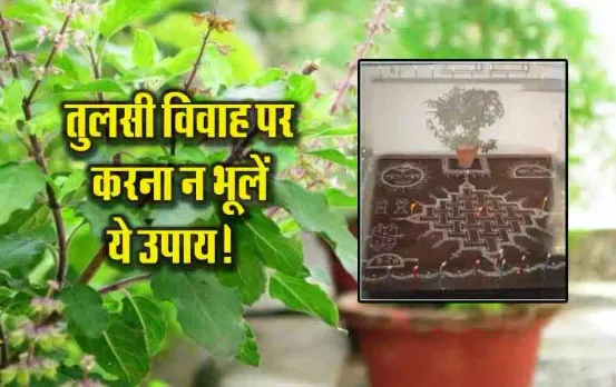 Dev-Uthani-Gyaras-2024-Tulse-Upay