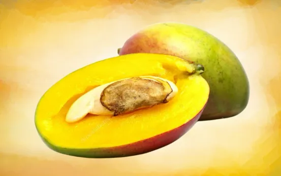 ओडिशा: आम की गुठली का दालिया खाकर 2 महिलाओं की मौत, 6 हुए बीमार