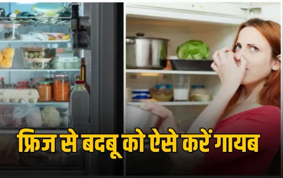 Fridge Smell Removing Tips: बारिश में फ्रिज की बदबू से हैं परेशान? अपनाएं ये देसी उपाय, आती रहेगी खुशबू