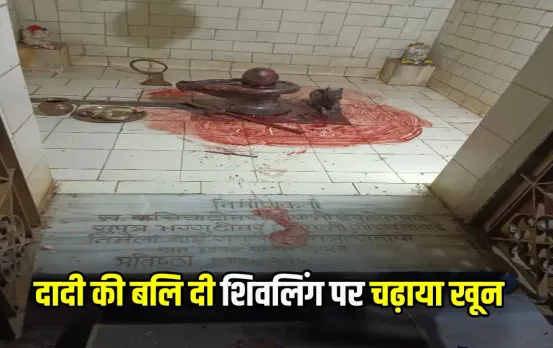 Grandson Murdered Grandmother in Durg