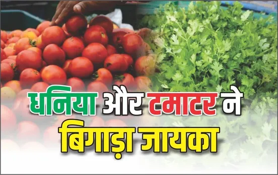 Grow Coriander & Tomato at Home