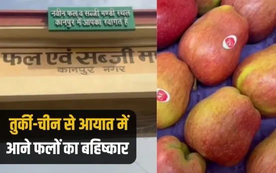 India Boycott Turkey kanpur navin sabji mandi boycott turkish fruits