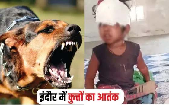 Indore Dog Attack