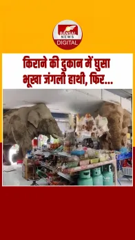 Thailand में मॉल की दुकान में घुसा भूखा हाथी, उठाया मनपसंद स्नैक्स; Video Viral