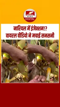नारियल में इंजेक्शन लगाने का वीडियो सोशल मीडिया पर वायरल, लोगों का फूटा गुस्सा