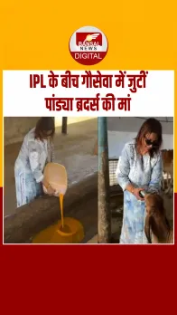 बड़ौदा के श्रवण सेवा फाउंडेशन Nalini Pandya, गायों को दान कीं  5000 रोटियां; Video