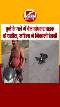 Rajasthan में युवक ने कुत्ते के गले में चेन बांधकर बाइक से घसीटा, महिला ने ऐसे निकाली हेकड़ी